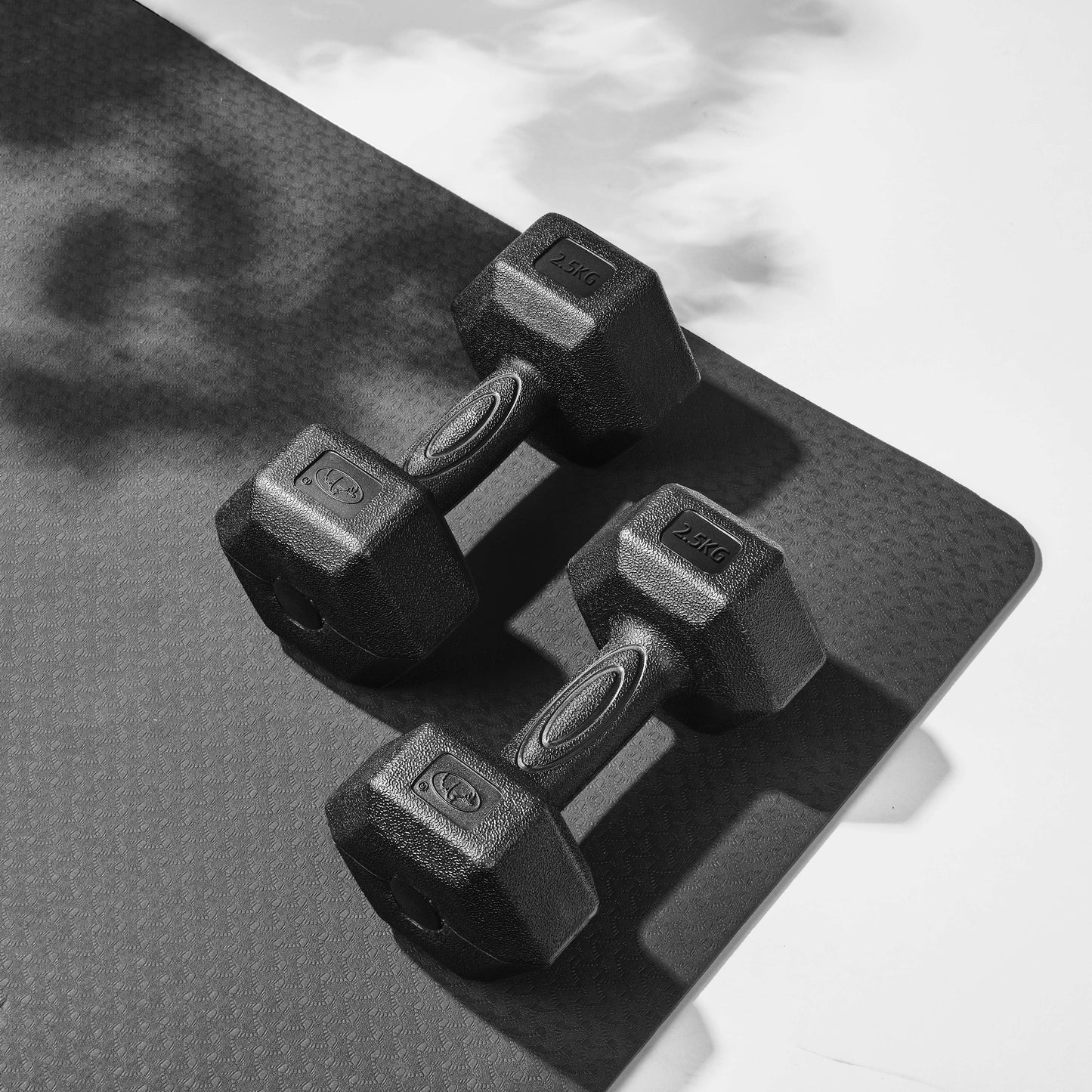 Free Weights Dumbbells Set